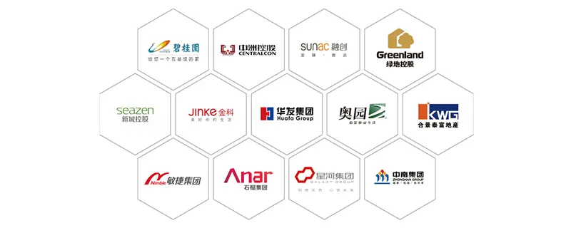 Strategic Partners