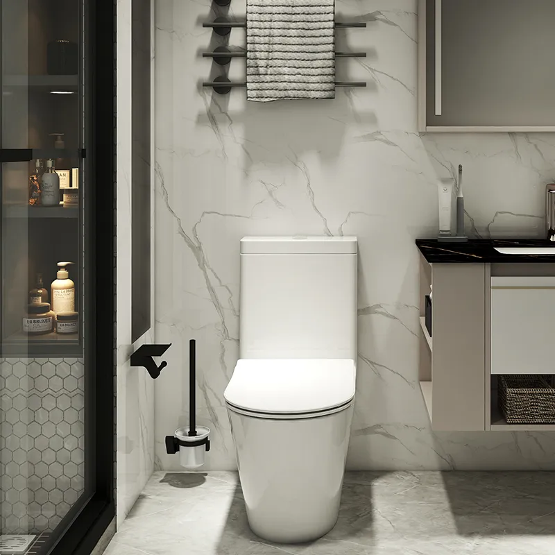One-Piece Toilets