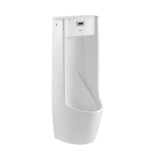 Floor-Mounted Urinal